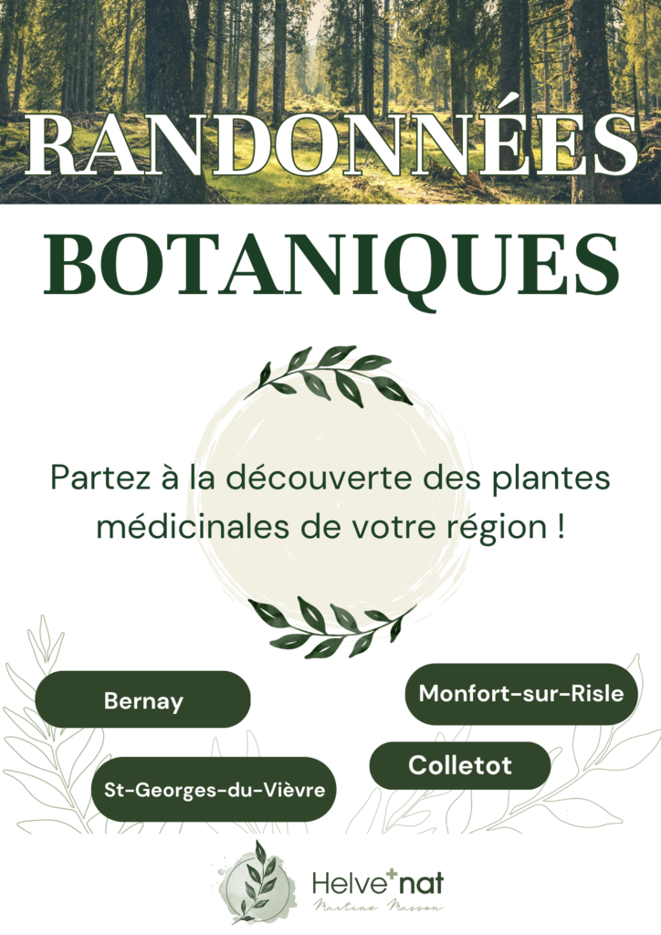 Randonnées botaniques 2026 avec Martine Masson naturopathe