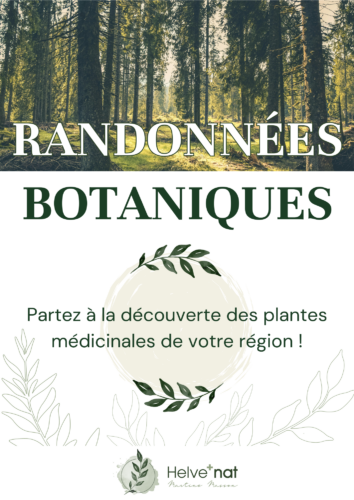 Randonnée botanique Martine Masson naturopathe