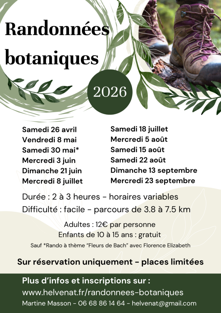 Randonnées botaniques 2026 avec Martine Masson naturopathe