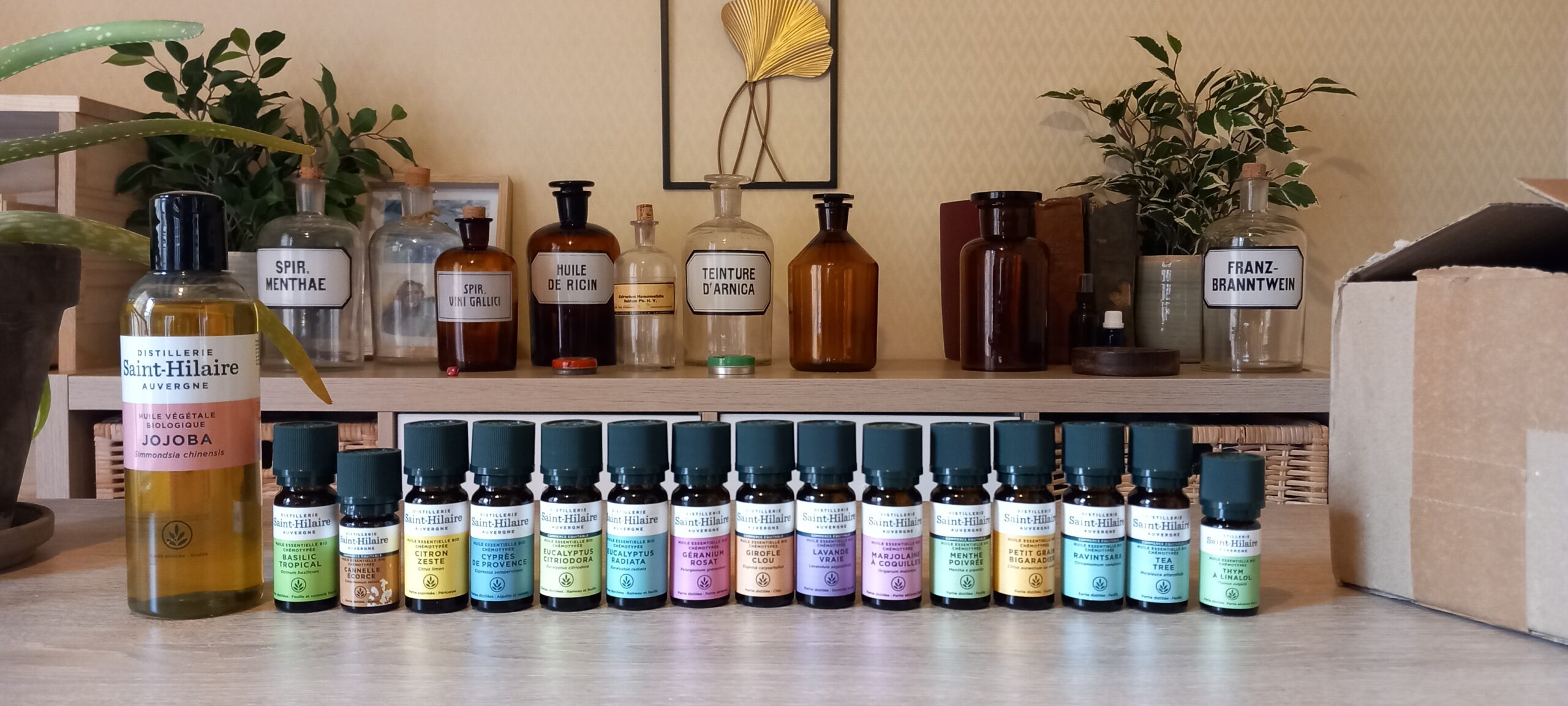 Présentation des 15 huiles essentielles étudiées lors de la formation à Bernay pour apprendre à les utiliser en toute sécurité au quotidien.