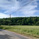 Campagne de Mesnil-St-Jean