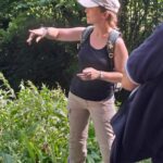 Explications sur l'usage des plantes médicinales